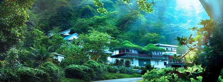 Bella Vista Resort - Munnar 01.jpg